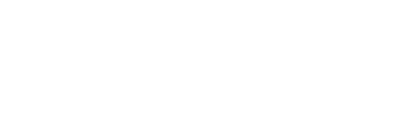 Solution Logistics Logo